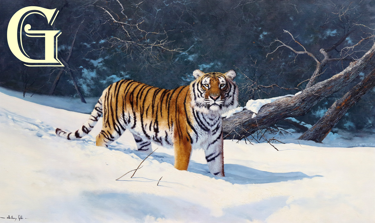 ORIGINAL PAINTING, GIBBS, ANTHONY GIBBS, TIGER,  SIBERIAN TIGER, MAJESTIC HUNTER