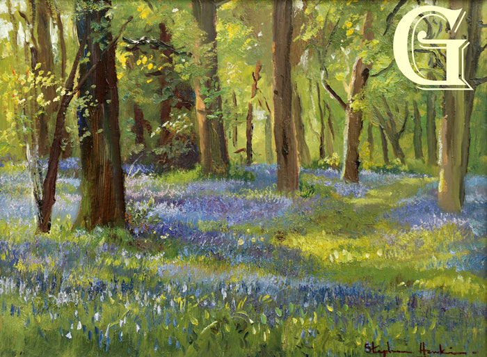 Stephen Hawkins oil painting BLUEBELLMORNING