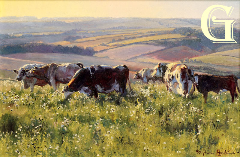 Stephen Hawkins oil painting , WILDFLOWER DOWNLAND