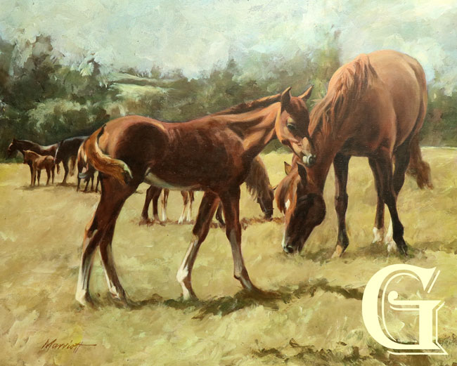 PRESTON, OIL PAINTING, SAM MARRIOT, MARES AND FOALS