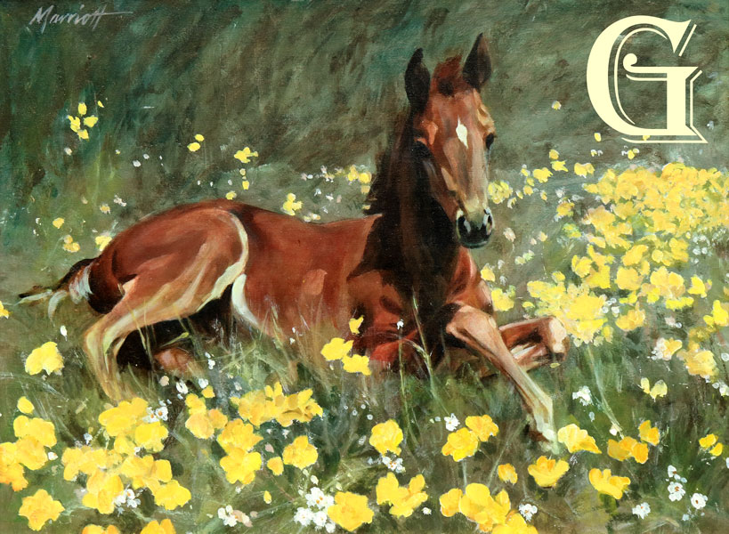 MARRIOT, ORIGINAL PAINTING, SPRING FOAL