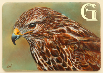 Sue Warner, original miniature painting, buzzard