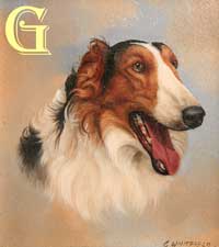 Carl Whitfield, original miniature painting, Borzoi