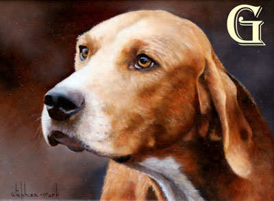 Stephen Park original oil painting ENGLISH FOXHOUND 1