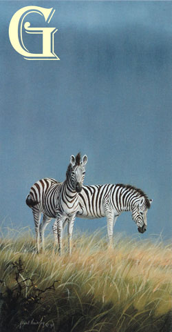 GRANT HACKING, LIMITED EDITION PRINT, SCENT OF RAIN, ZEBRA, PRINT