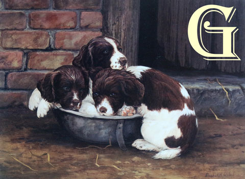 ELIZABETH HALSTEAD, LIMITED EDITION PRINT, DINNER TIMEM, PRINT, DOGS