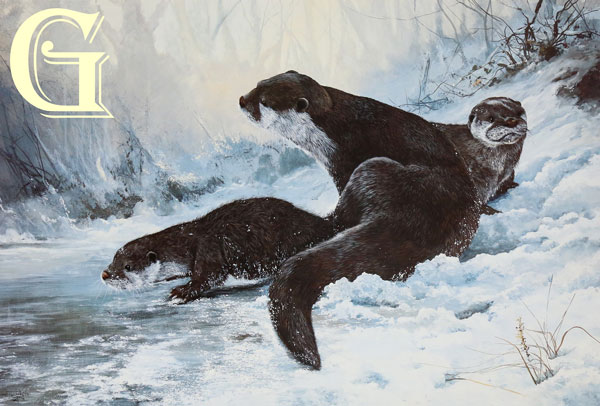 DOROTHEA BUXTON HYDE, LIMITED EDITION PRINT, BEWILDERMENT, PRINT, OTTERS IN SNOW