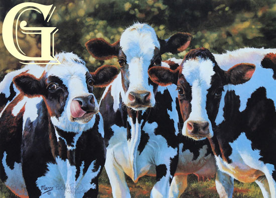 BONNIE MARRIS, LIMITED EDITION PRINT, DAIRY QUEENS, PRINT, FRESIANS, HOLSTEIN, BLACK AND WHITE COWS