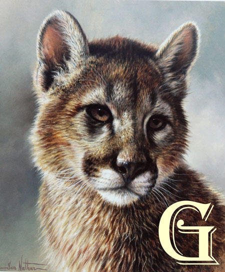 IAN NATHAN, LIMITED EDITION PRINT, PUMA CUB, PRINT