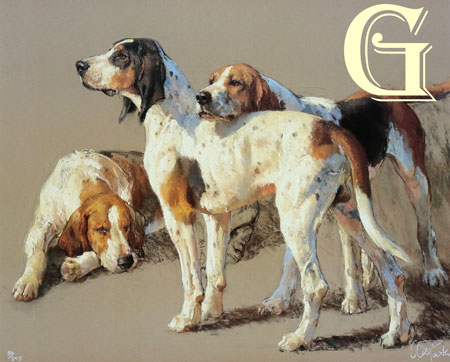 ANDRE PATER, LIMITED EDITION PRINT, HOUND STUDY, PRINT, FOXHOUNDS