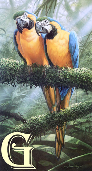 ADRIAN RIGBY, LIMITED EDITION PRINT, JUNGLE GOLD, PRINT