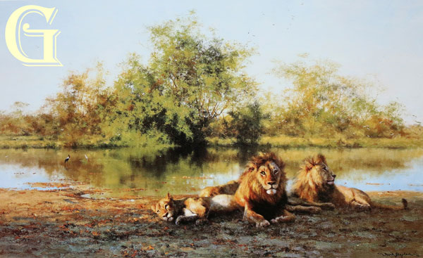 david shepherd, lions, african evening zambezi waterhole, limited edition print, david shepherd print
