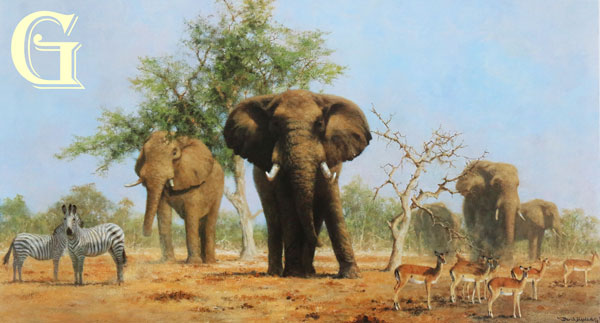 david shepherd, african landscape, elephants, zebras, limited edition print, david shepherd print