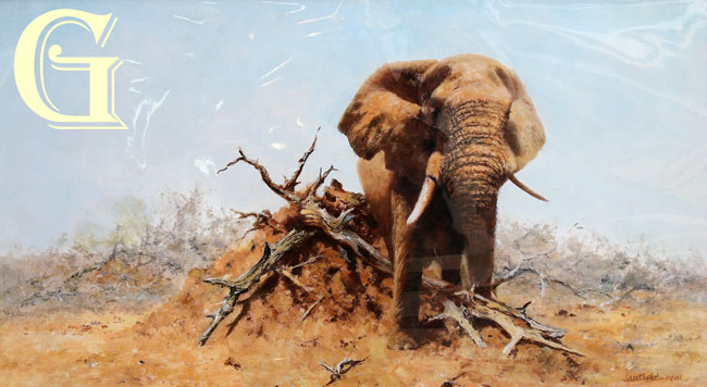 david shepherd, elephants, GENTLE GIANT, elephant, limited edition print, david shepherd print