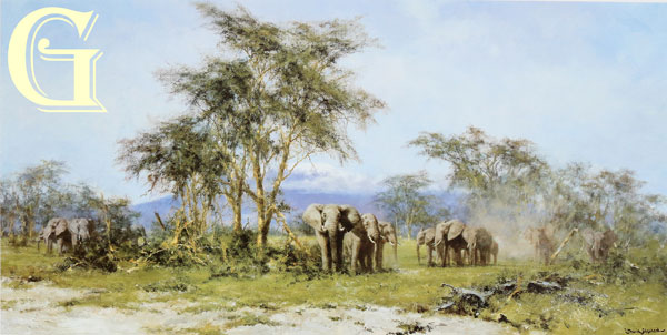 david shepherd, elephants,in the shadow of kilimanjaro, limited edition print, david shepherd print