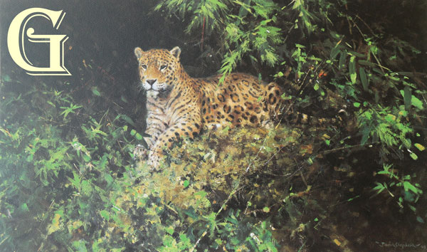 david shepherd, jaguar, limited edition print, david shepherd print