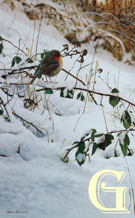 STEVEN TOWNSEND, LIMITED EDITION PRINT, QUIET MOMENT, PRINT, ROBIN IN SNOW
