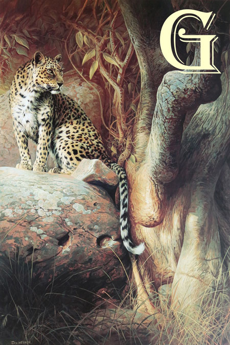 DICK VAN HEERDE, LIMITED EDITION PRINT, WATCHING BRIEF, LEOPARD, PRINT,