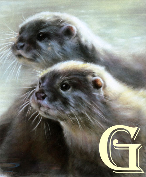 Vvivian walters, otters, limited edition print,
