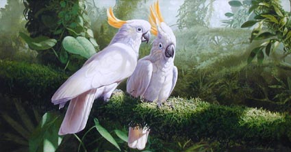 Adrian Rigby, original painting, Splendour of the Shadows, Suphur Crested Cockatoos