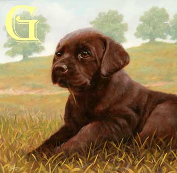 John Silver, Silver, original oil painting, Chocolate lab puppy