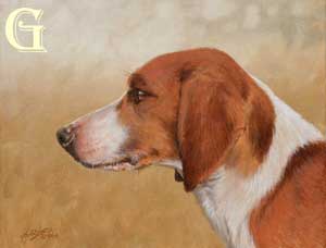 John Silver, original painting, Beagle