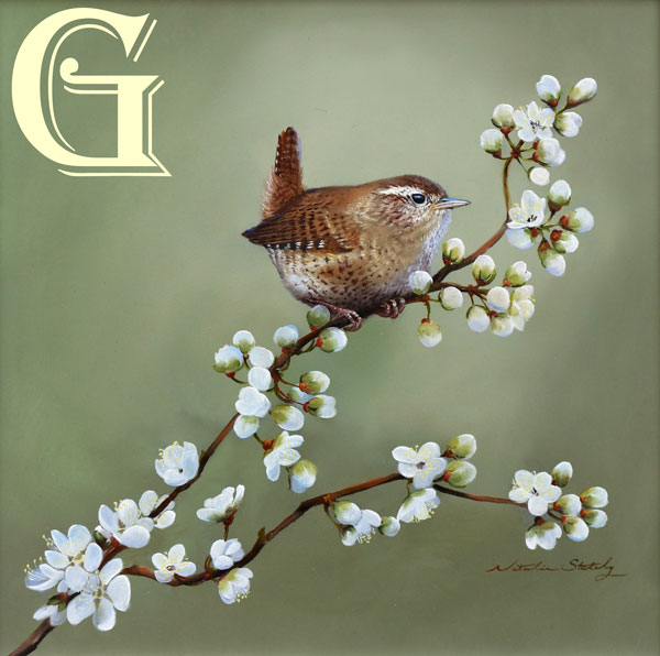 NATALIE STUTELY, ORIGINAL PAINTING, WREN ON APPLE BLOSSOM