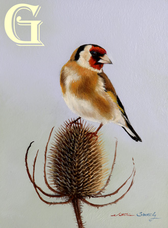 STUTELY, ORIGINAL PAINTING, GOLDFINCH