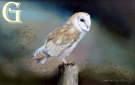 STUTELY, ORIGINAL PAINTING, BARN OWL