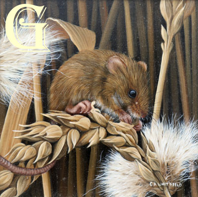 Carl Whitfield oil painting, HARVEST MOUSE