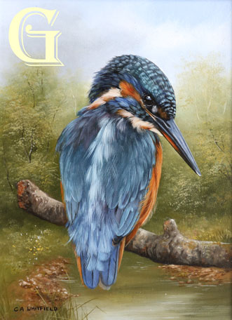 Carl Whitfield oil painting, KINGFISHER