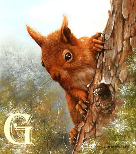 Carl Whitfield oil painting, RED SQUIRREL