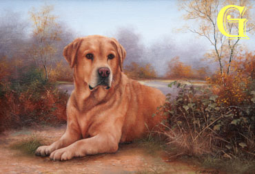 Carl Whitfield oil painting GOLDEN LABRADOR