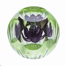 CAITHNESS GLASS PAPERWEIGHT FLORAL SERIES BLACKJACK