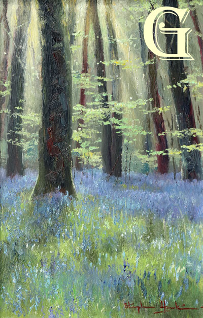 Stephen Hawkins oil painting ,WOODLAND  SPRING