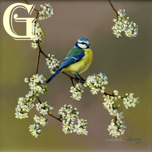 STUTELY, ORIGINAL PAINTING, BLUETITS AND BLOSSOM
