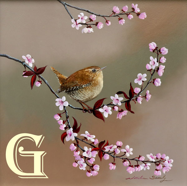 STUTELY, ORIGINAL PAINTING, WREN ON BLOSSOM
