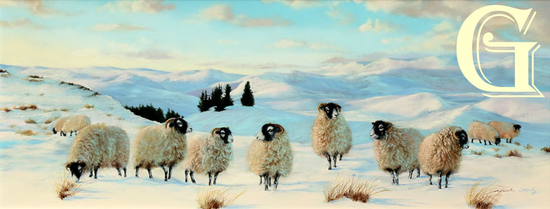 STUTELY, ORIGINAL PAINTING, HARDY  SWALEDALES